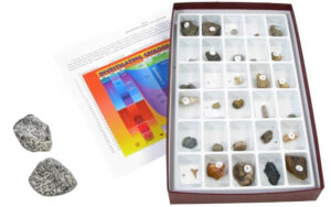 fossils-specimens-category