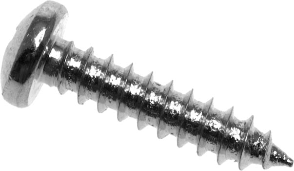 Photo of a #4 12mm self-tapper screw.