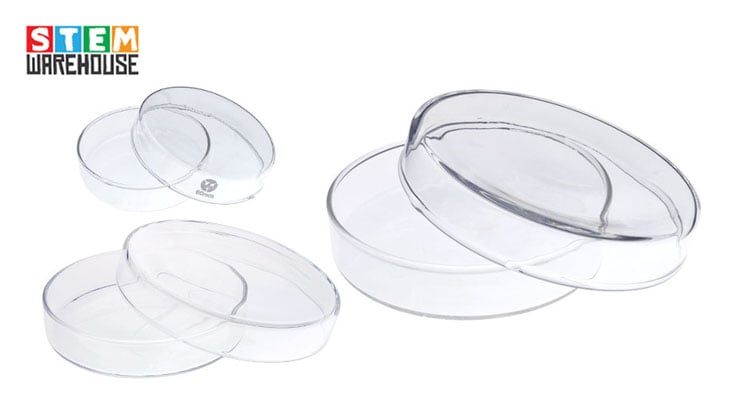 Glass Petri Culture Dishes