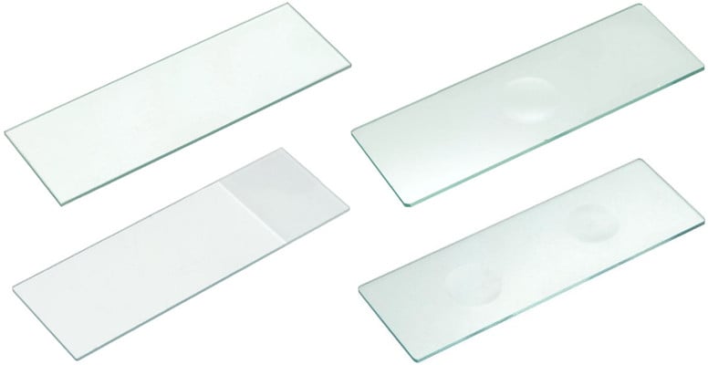 microscope-slides.jpg