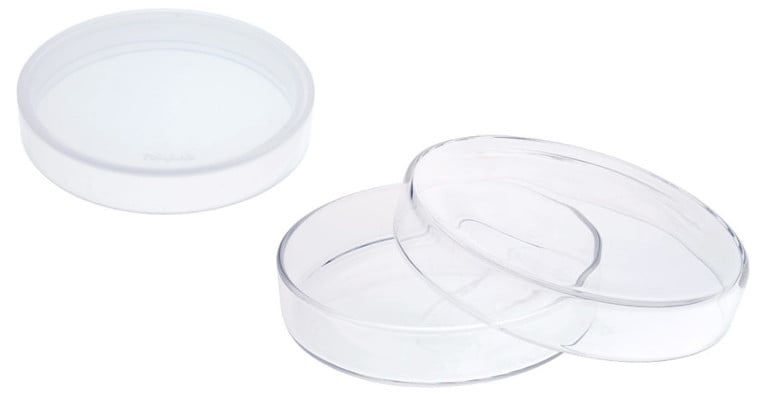 Petri Culture Dishes