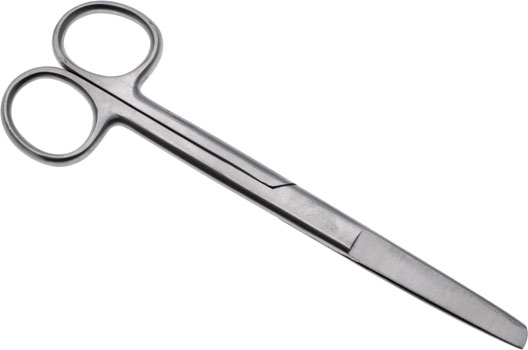 Scissors Stainless Steel Medium