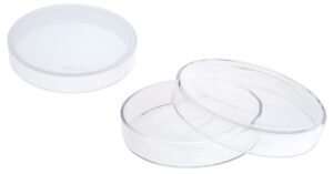 petri-culture-dishes