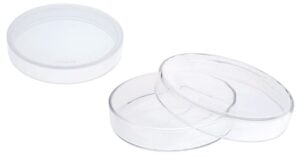 petri-culture-dishes