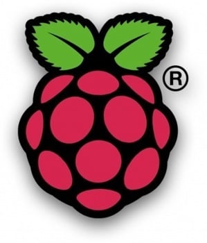 Raspberry Pi Logo