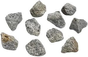 rm6443-03-limestone-fossil-archaeocyatha