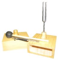 tuning-fork-on-resonance-boxes-2x426-6-hz-with-hammer