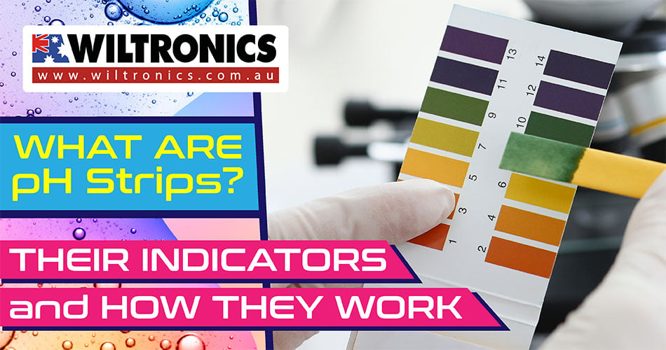 What are pH Strips? Their Indicators and How They Work